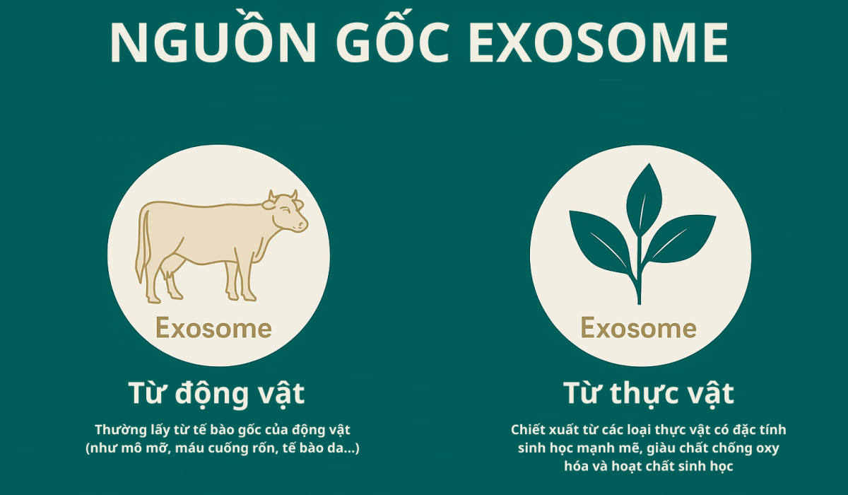 giai-ma-cong-nghe-exosome-2 giai-ma-cong-nghe-exosome-2