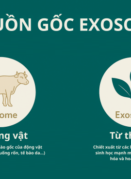 giai-ma-cong-nghe-exosome-2