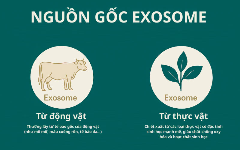 giai-ma-cong-nghe-exosome-2