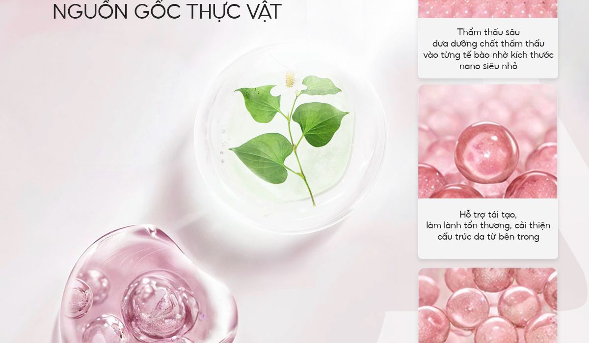 mat-na-duong-da-exosome-heartleaf-ac-blemish-clearing-4 mat-na-duong-da-exosome-heartleaf-ac-blemish-clearing-4