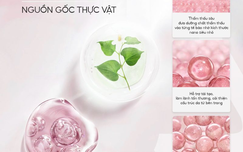 mat-na-duong-da-exosome-heartleaf-ac-blemish-clearing-4
