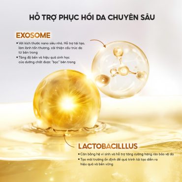 mat-na-duong-da-exosome-real-propolis-glow-boosting-1
