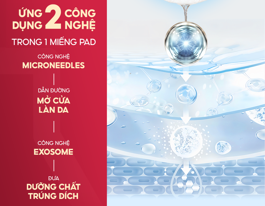 pad-exosome-3 - Copy pad-exosome-3 - Copy