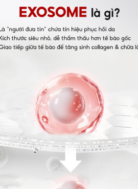 CNL copy 3